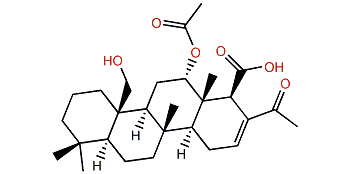 Lendenfeldarane A